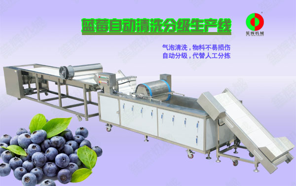 刚察蓝莓/蔬果全自动清洗分级生产线